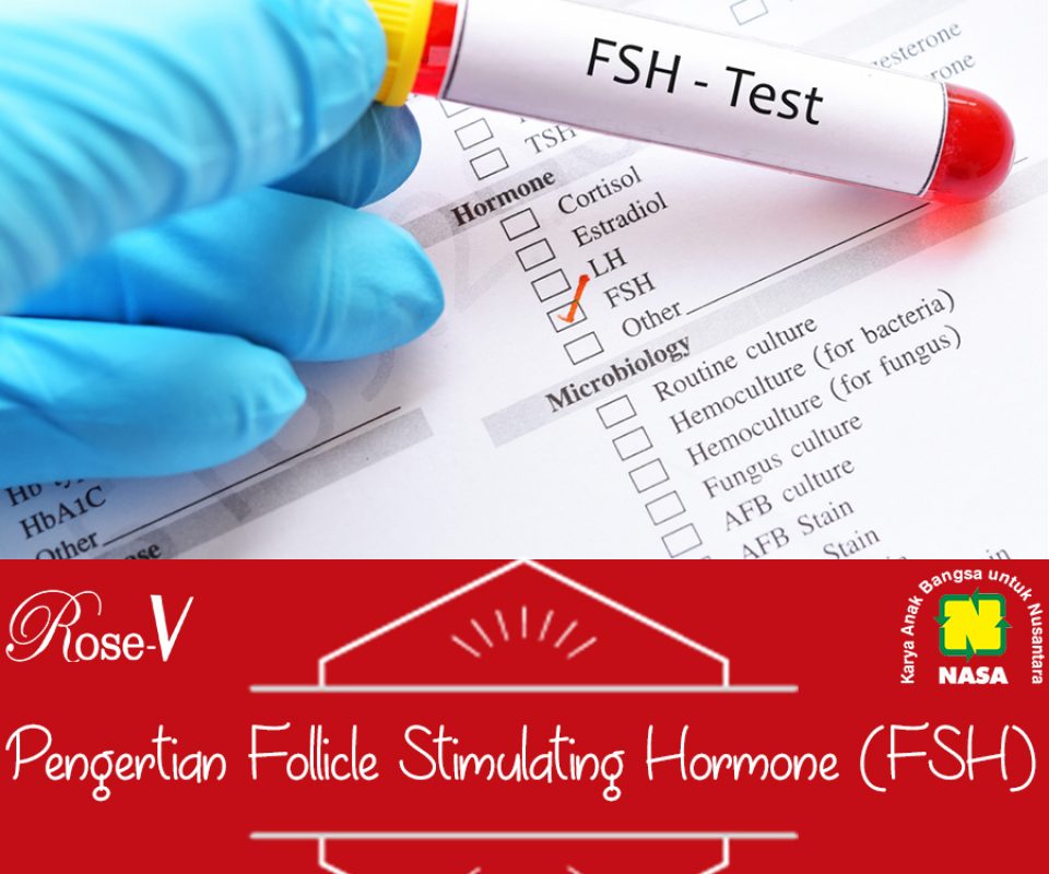 Pengertian Follicle Stimulating Hormone (FSH)