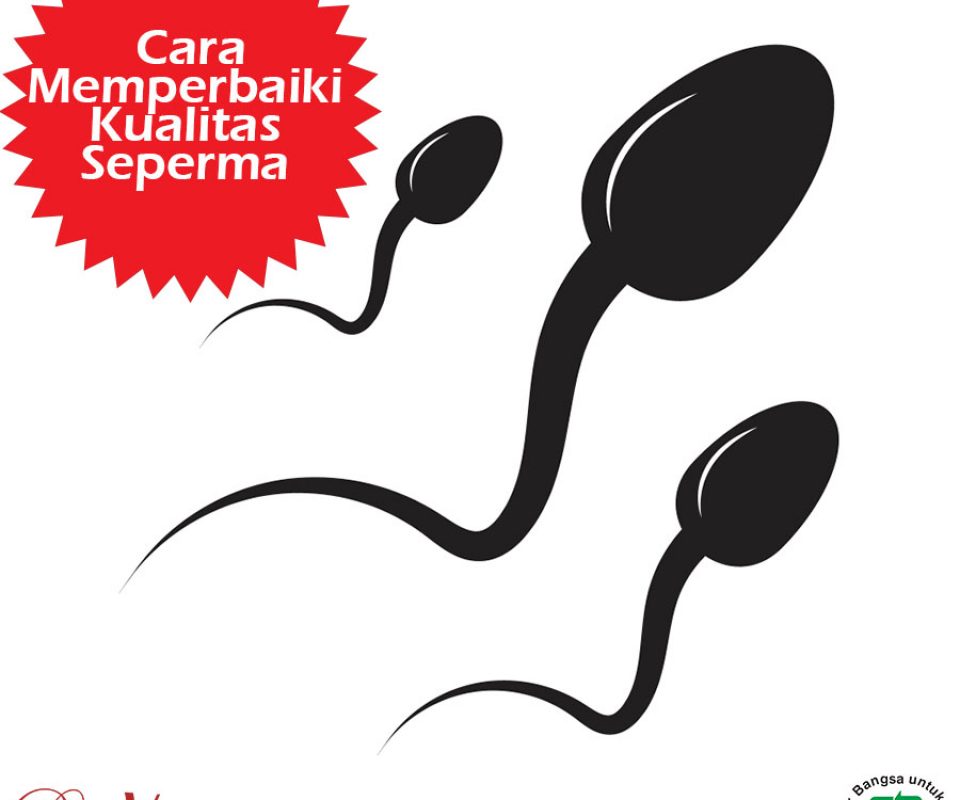 Cara Memperbaiki Kualitas Sperma